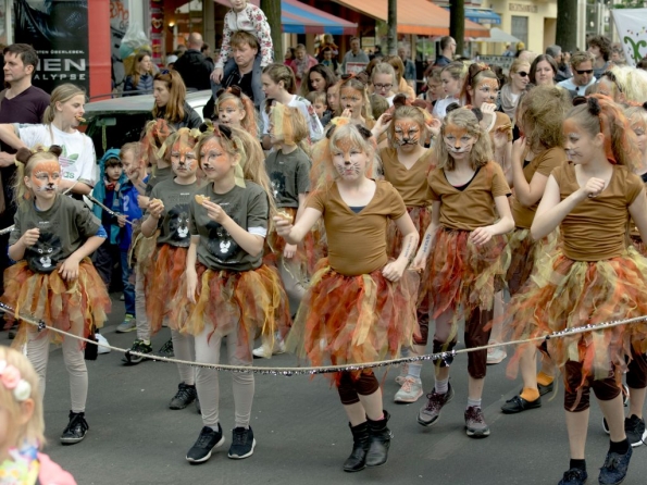 OLYMPUS DIGITAL CAMERA