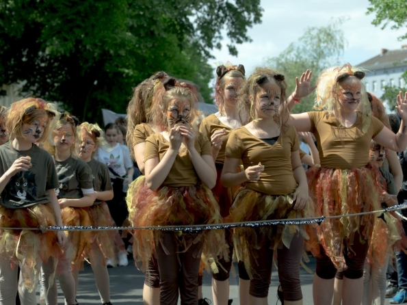 OLYMPUS DIGITAL CAMERA