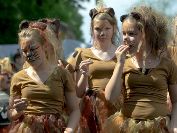 OLYMPUS DIGITAL CAMERA