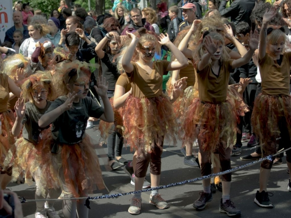 OLYMPUS DIGITAL CAMERA