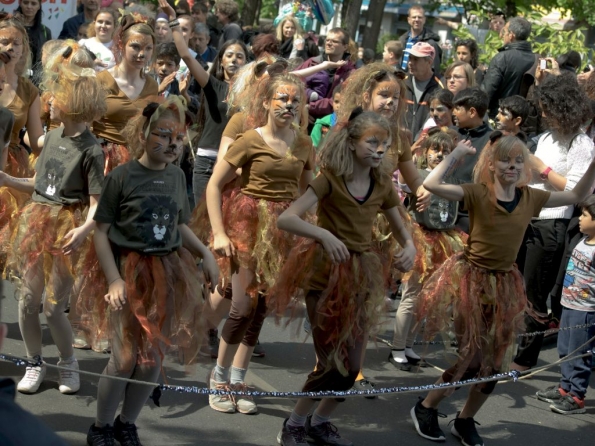 OLYMPUS DIGITAL CAMERA