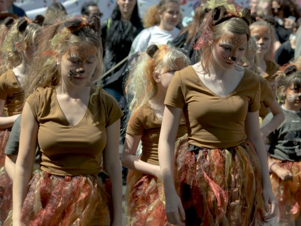 OLYMPUS DIGITAL CAMERA