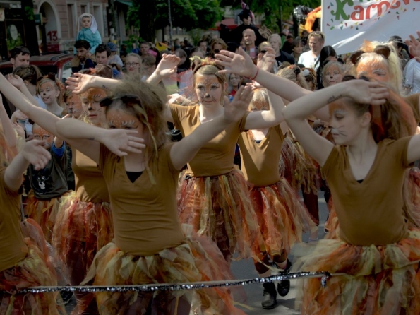 OLYMPUS DIGITAL CAMERA