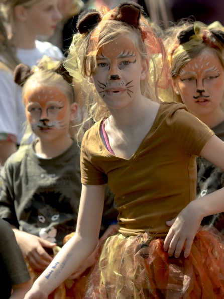 OLYMPUS DIGITAL CAMERA