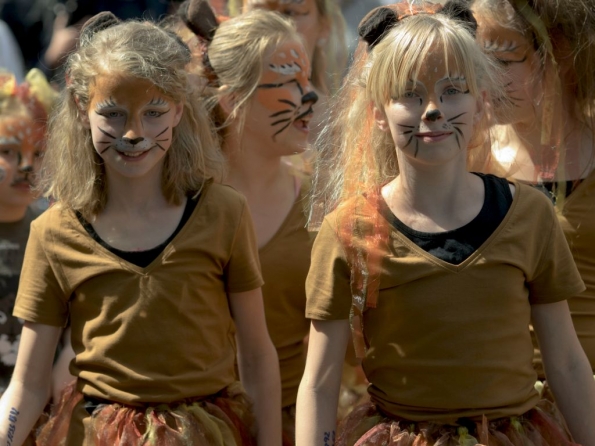 OLYMPUS DIGITAL CAMERA