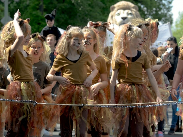 OLYMPUS DIGITAL CAMERA