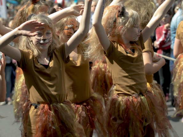 OLYMPUS DIGITAL CAMERA