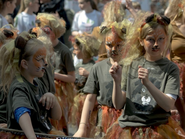 OLYMPUS DIGITAL CAMERA