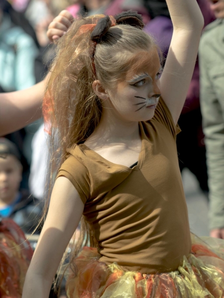 OLYMPUS DIGITAL CAMERA