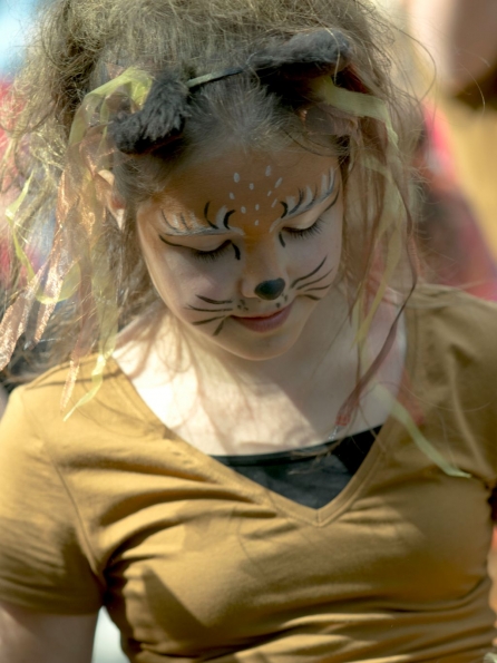 OLYMPUS DIGITAL CAMERA