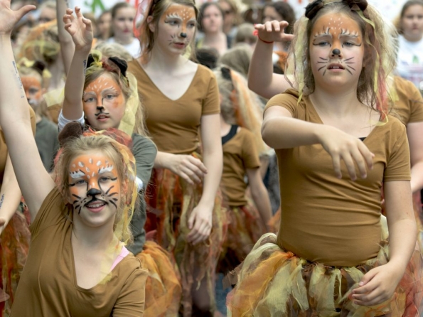 OLYMPUS DIGITAL CAMERA