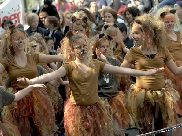 OLYMPUS DIGITAL CAMERA