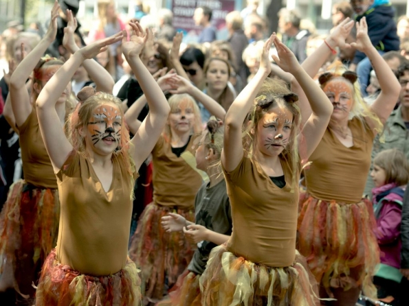 OLYMPUS DIGITAL CAMERA