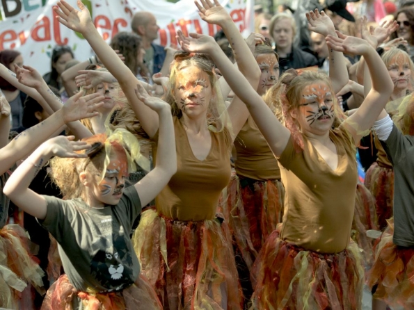 OLYMPUS DIGITAL CAMERA