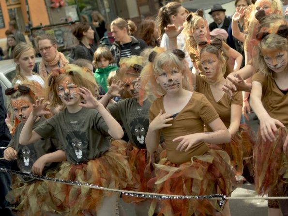 OLYMPUS DIGITAL CAMERA