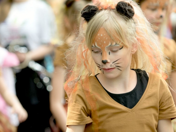 OLYMPUS DIGITAL CAMERA