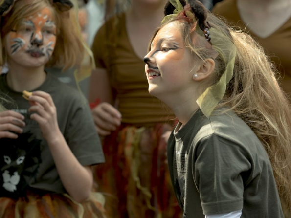 OLYMPUS DIGITAL CAMERA