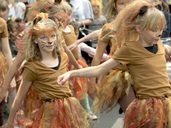 OLYMPUS DIGITAL CAMERA