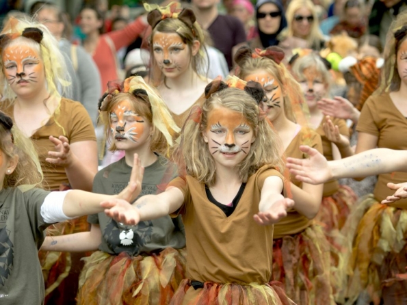 OLYMPUS DIGITAL CAMERA