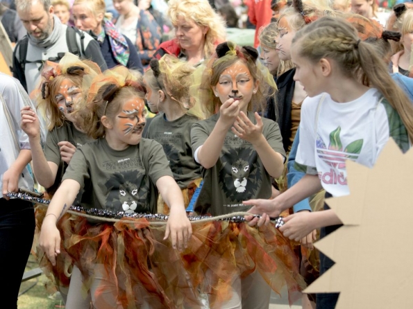 OLYMPUS DIGITAL CAMERA