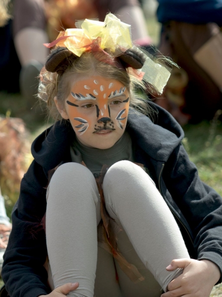 OLYMPUS DIGITAL CAMERA