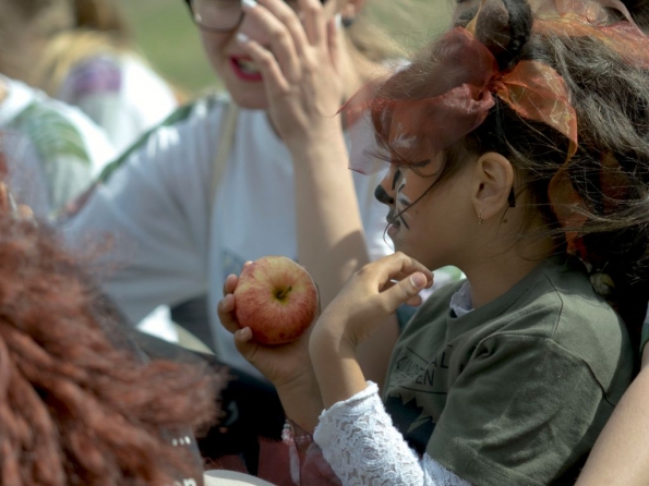 OLYMPUS DIGITAL CAMERA