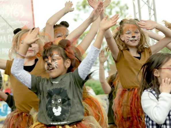 OLYMPUS DIGITAL CAMERA