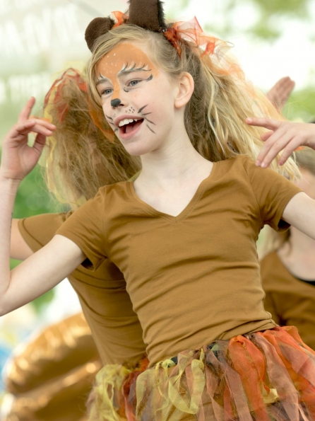 OLYMPUS DIGITAL CAMERA