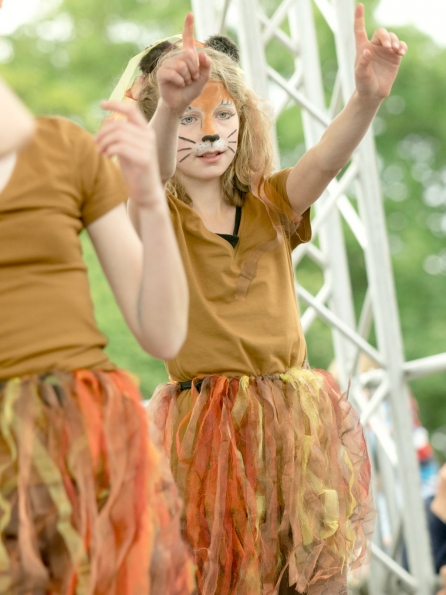 OLYMPUS DIGITAL CAMERA