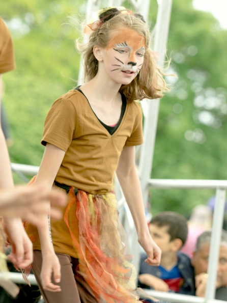 OLYMPUS DIGITAL CAMERA