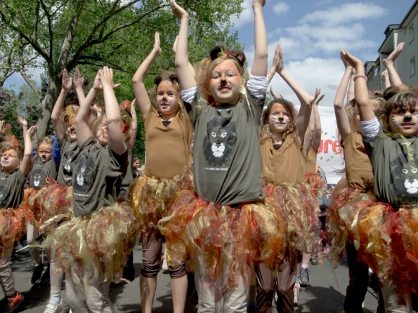 OLYMPUS DIGITAL CAMERA