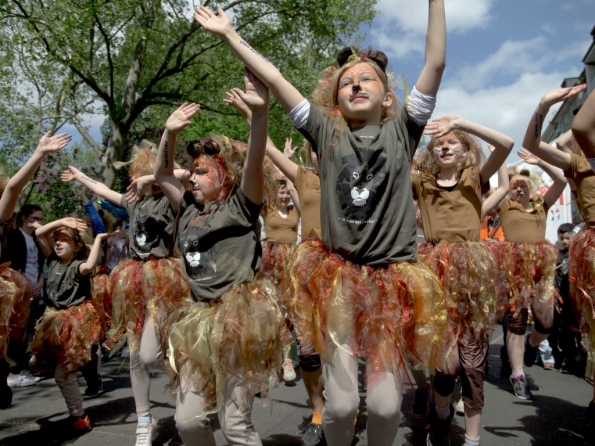 OLYMPUS DIGITAL CAMERA