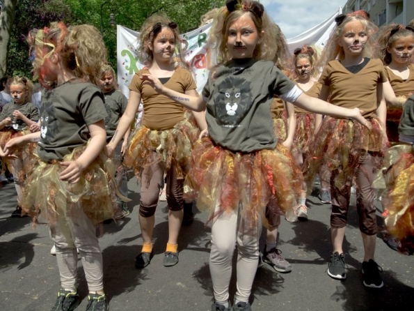 OLYMPUS DIGITAL CAMERA