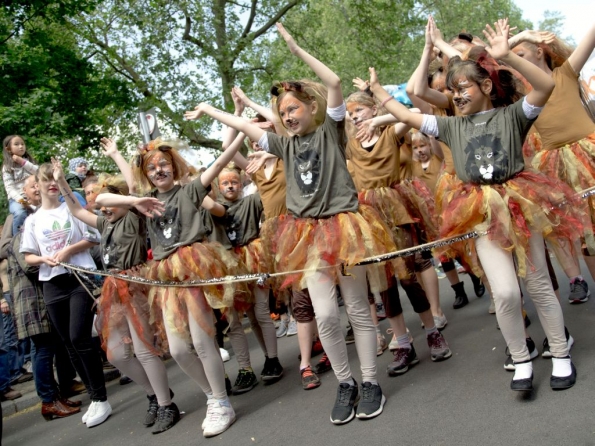 OLYMPUS DIGITAL CAMERA