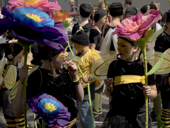 OLYMPUS DIGITAL CAMERA