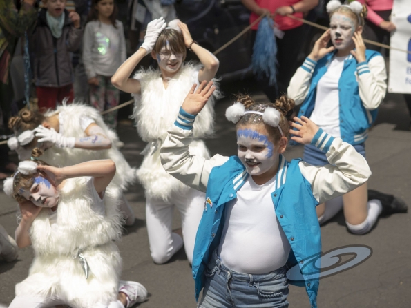 OLYMPUS DIGITAL CAMERA