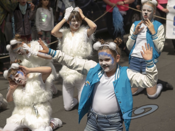 OLYMPUS DIGITAL CAMERA