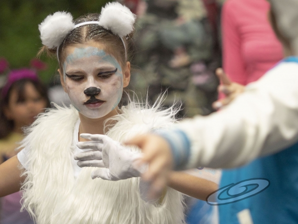 OLYMPUS DIGITAL CAMERA