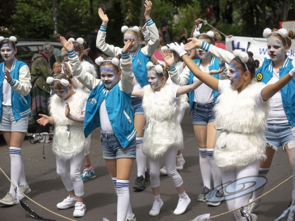 OLYMPUS DIGITAL CAMERA