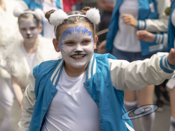 OLYMPUS DIGITAL CAMERA