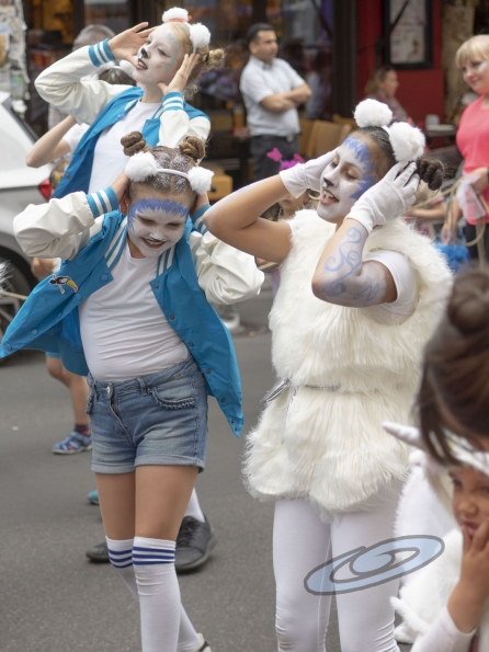 OLYMPUS DIGITAL CAMERA