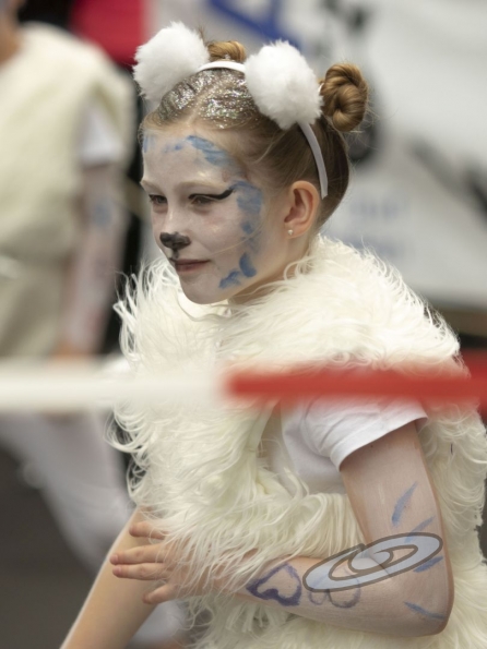 OLYMPUS DIGITAL CAMERA