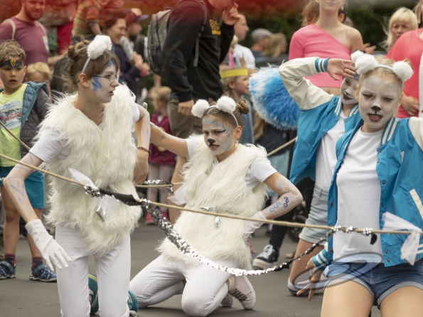 OLYMPUS DIGITAL CAMERA