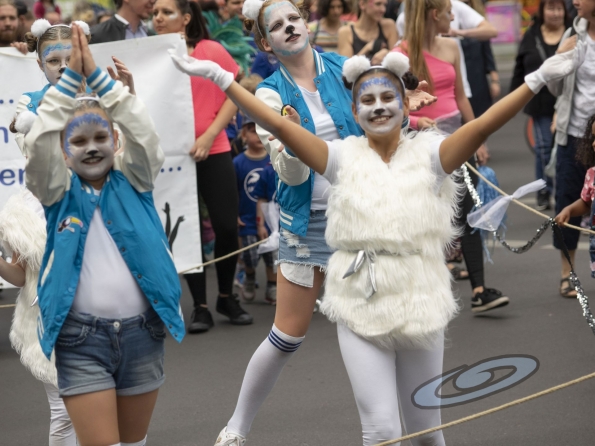 OLYMPUS DIGITAL CAMERA