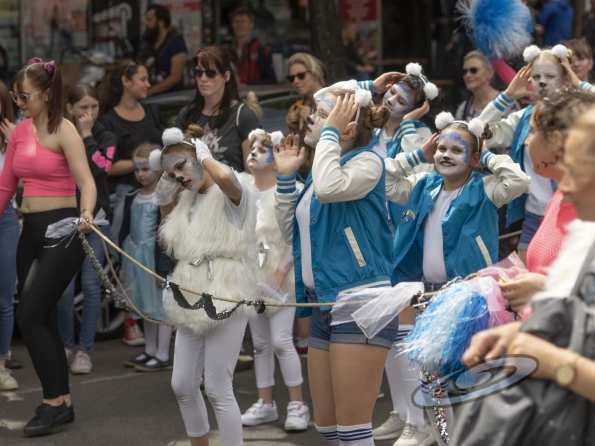 OLYMPUS DIGITAL CAMERA