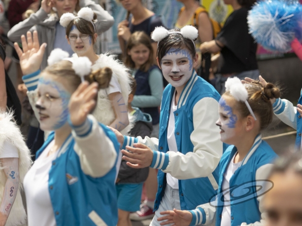 OLYMPUS DIGITAL CAMERA