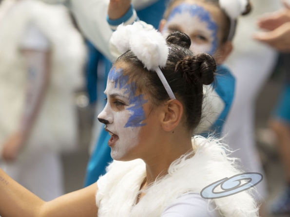 OLYMPUS DIGITAL CAMERA