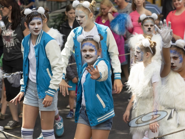 OLYMPUS DIGITAL CAMERA