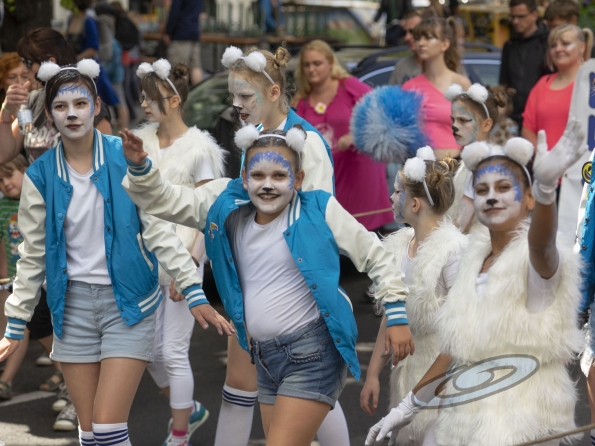 OLYMPUS DIGITAL CAMERA