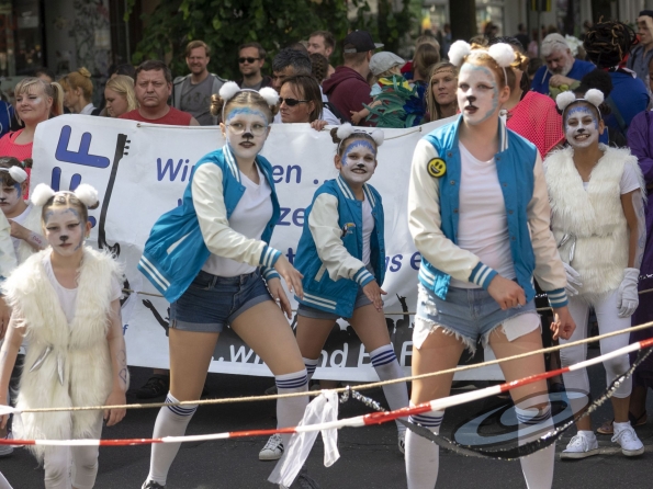 OLYMPUS DIGITAL CAMERA